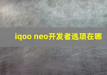 iqoo neo开发者选项在哪